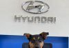 Kona´N el nuevo miembro de Hyundai Colombia.