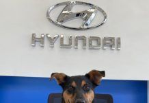 Kona´N el nuevo miembro de Hyundai Colombia.