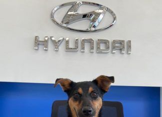 Kona´N el nuevo miembro de Hyundai Colombia.