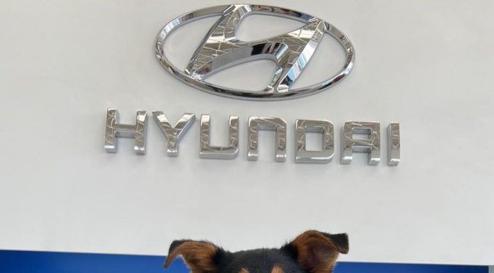 Kona´N el nuevo miembro de Hyundai Colombia.