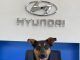 Kona´N el nuevo miembro de Hyundai Colombia.